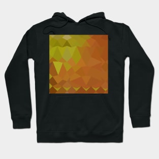 Cocoa Brown Abstract Low Polygon Background Hoodie